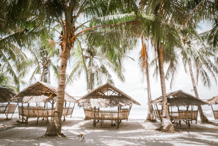 Bambushytter under palmene på stranden på Bantayan