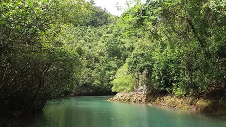 Bojo-elven i Aloguinsan